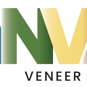 Canvas Designer Veneer Panel